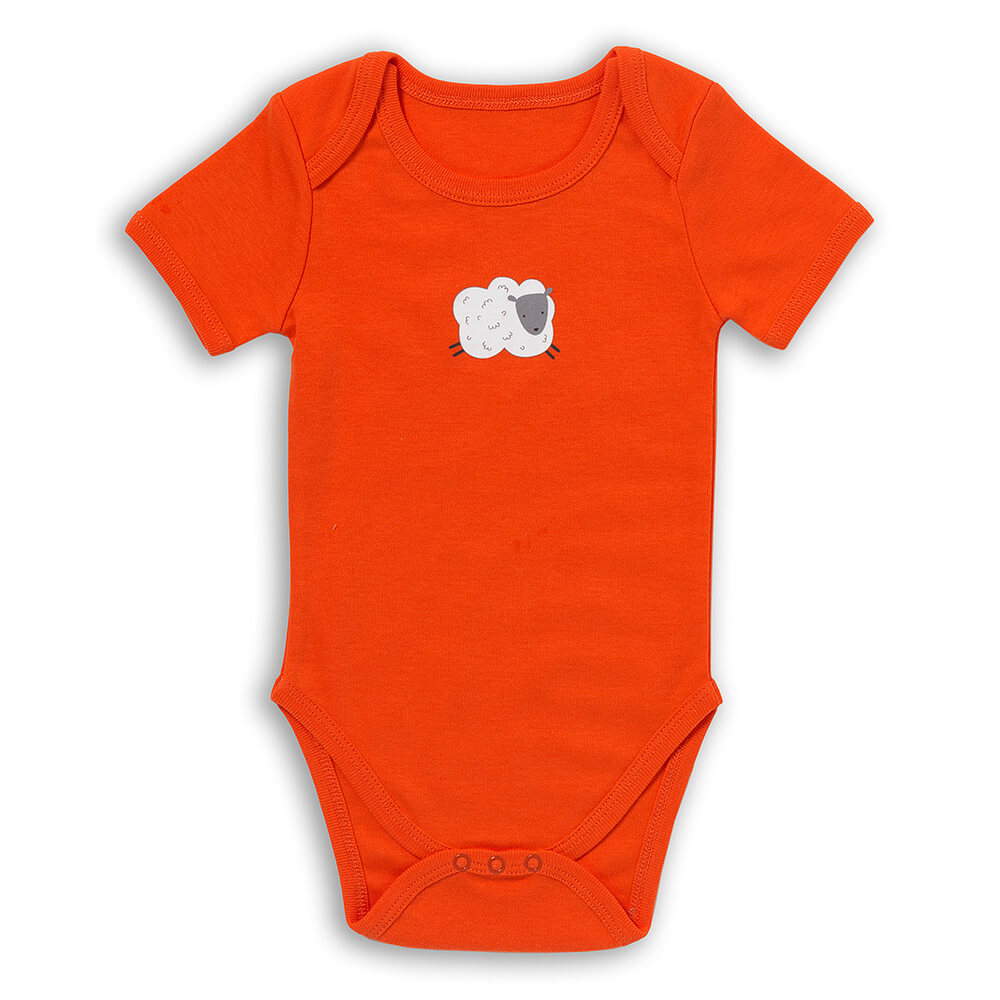 Body bébé manches courtes 100% bio - lot de 5