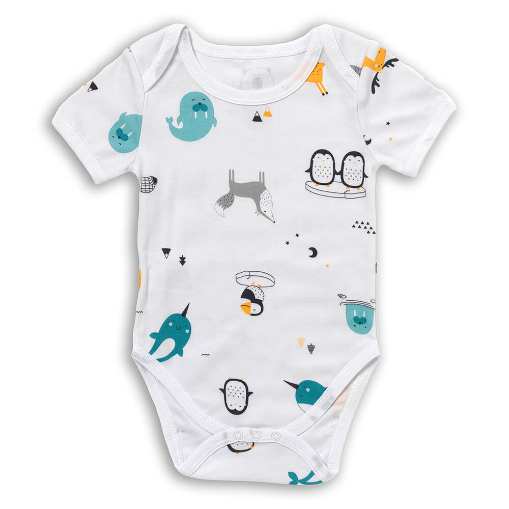 Body bébé manches courtes 100% bio - lot de 5